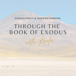Exodus Workbook 250x250