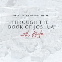 Joshua Workbook 250x250