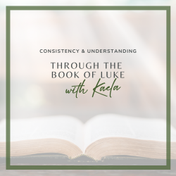 Luke Workbook 250x250